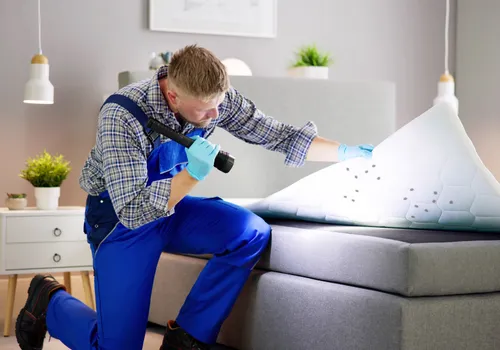 Technician inspecting for termites