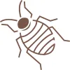 Bed bug icon