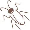 Cockroach icon